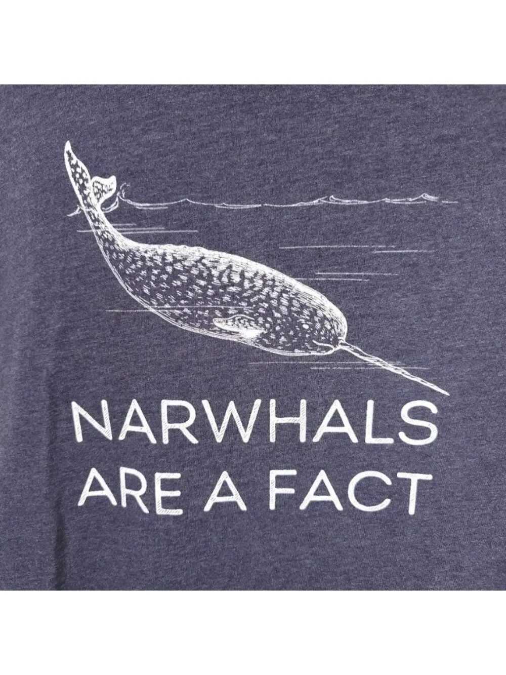 Narwhals Are A Fact T Shirt Mens Size XL Blue Gray Nature Animal Tee